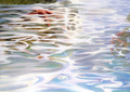 Tide Pools